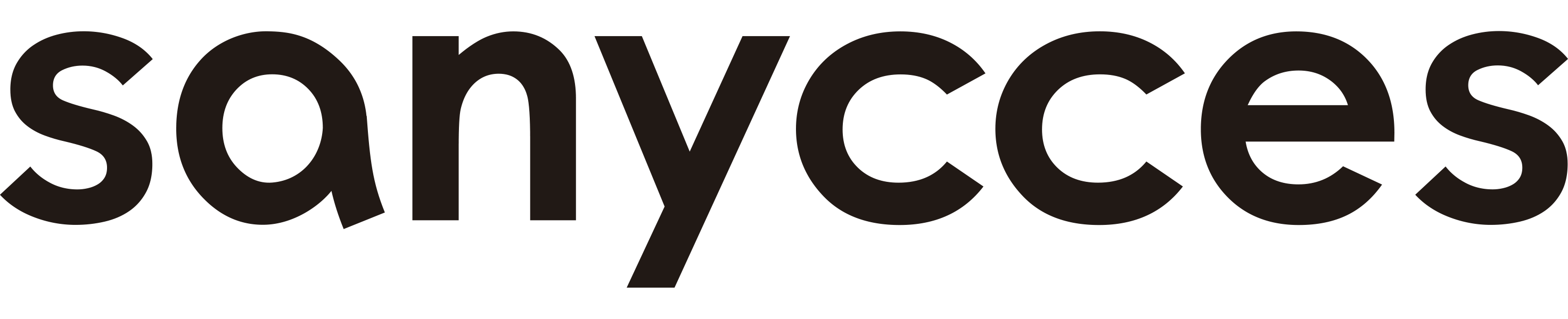 sanycces logo