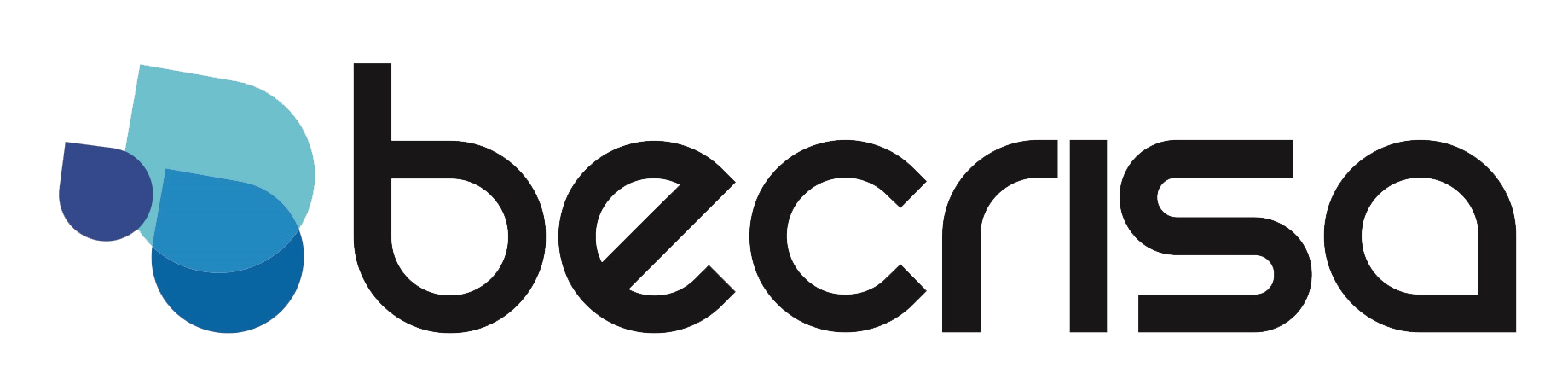 Logo Becrisa