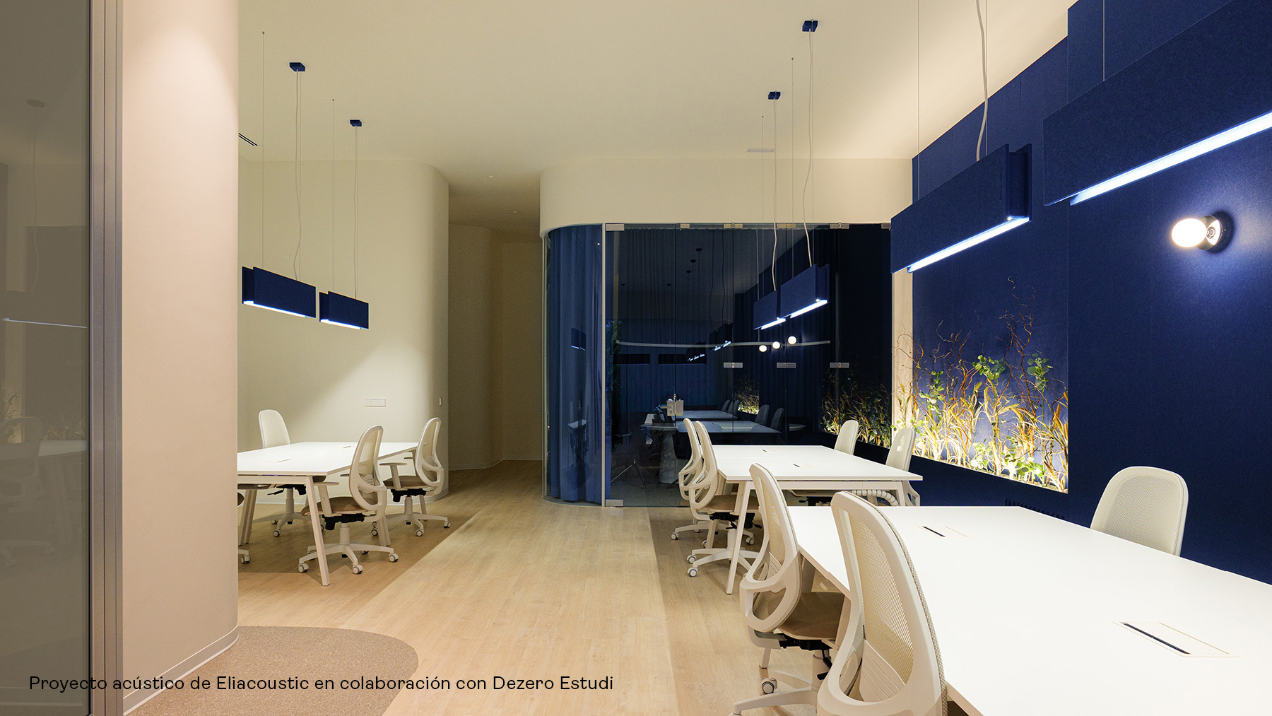Imagen Eliacoustic