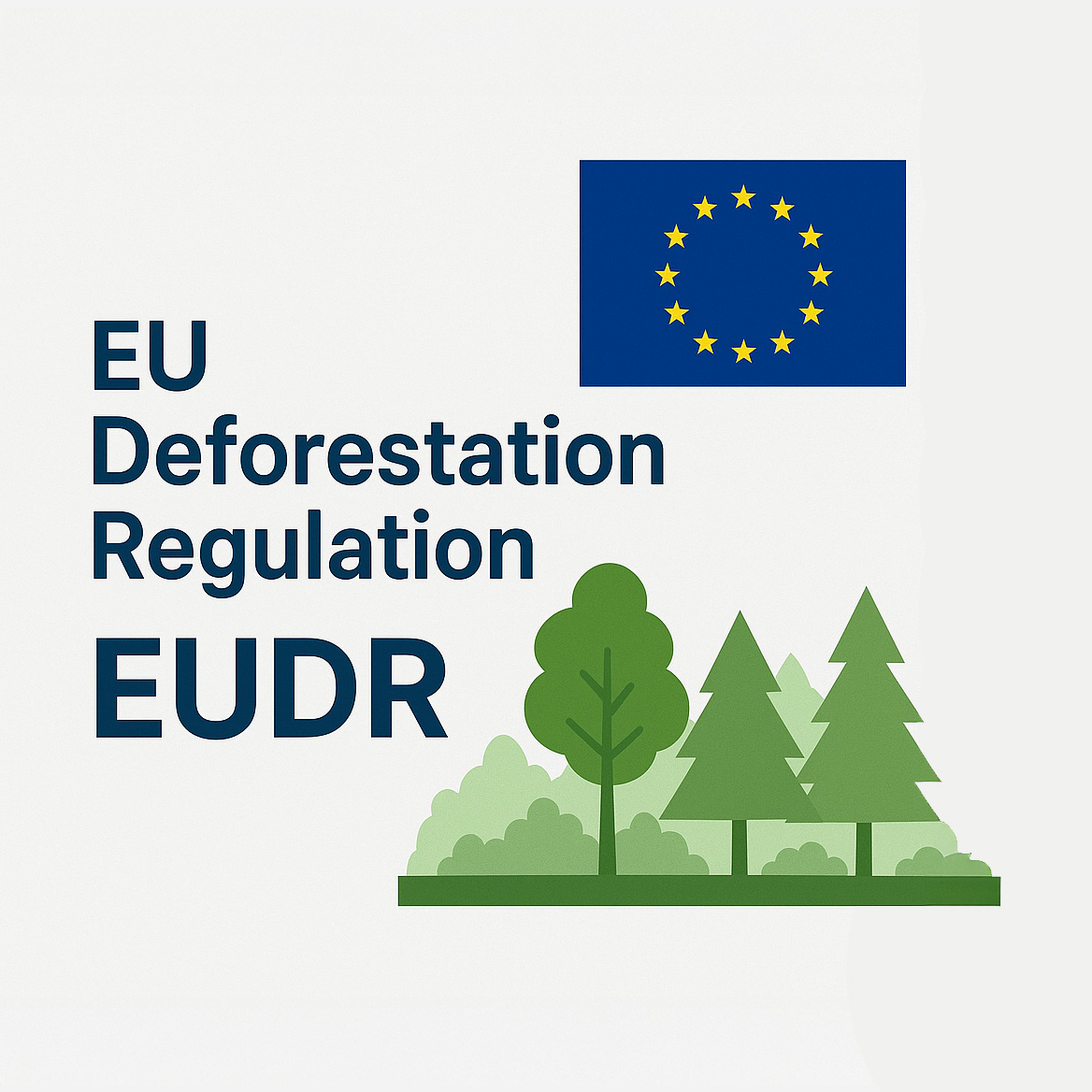 El Parlamento Europeo aprueba medidas de simplificación para el Reglamento EUDR